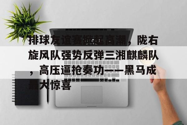 开云APP下载-排球友谊赛掀起高潮，陇右旋风队强势反弹三湘麒麟队，高压逼抢奏功——黑马成最大惊喜的简单介绍