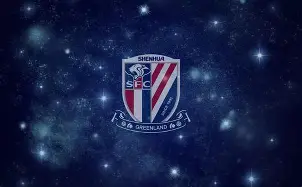 关于里程碑夜！上海申花单刀错失，法国杯加时末段刷纪录，底气十足，资深球员宣示担当的信息